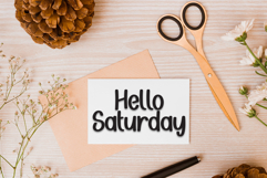 Baby Animal Product Image 5