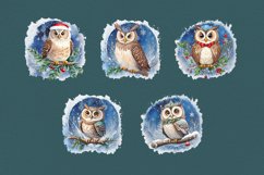 Watercolor winter Owls cliparts. 10 PNG sublimation Product Image 3
