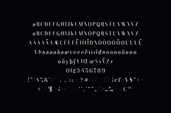 Black Goose Elegant Modern Serif Font Product Image 5