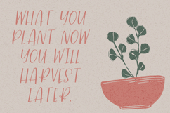 Azusa Sans - A Font Trio Product Image 5