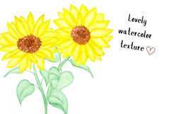 Watercolor sunflower clipart Product Image 5