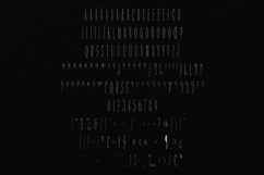 Brume Elegant Condensed Display Font Product Image 5