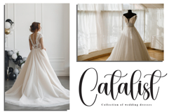 Gardening Product Image 5