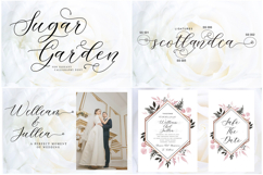 Royale Script Collection Fonts Bundle Product Image 5