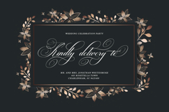 Brilliani Script Pro Product Image 5