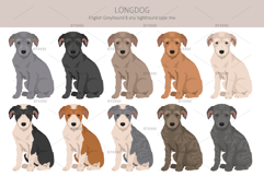 Longdog. Greyhound/Sighthound mix Product Image 4