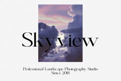 Anomaly - Elegant Serif Product Image 4