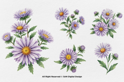 15 Bundle Watercolor Aster Flower Blossom Floral Bouquet Product Image 5