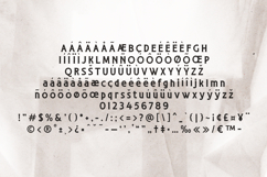 Groovify Bold Retro Serif Font Product Image 5