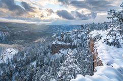 Snowy Canyon Cliff Winter Forest Scenic Landscape View Product Image 1