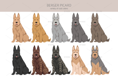 Berger Picard clipart Product Image 3