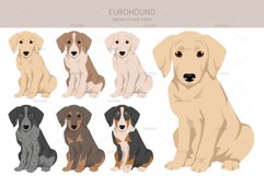 Eurohound clipart Product Image 2