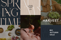 Gorga Font Duo Modern Sans &amp; Serif Product Image 5