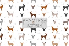 Thai Ridgeback clipart Product Image 6