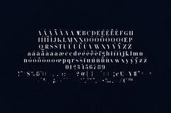 Wonderz Vintage Edition Elegant Serif Font Product Image 5