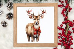 Watercolor Christmas Deer Sublimation Bundle, Christmas Deer Product Image 4