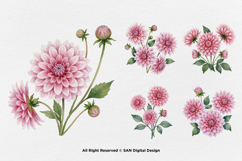 15 Bundle Watercolor Pink Dahlias Flower Soft Floral Decor Product Image 5