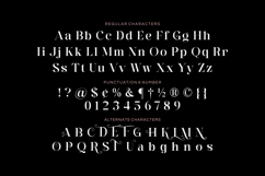 Eko Ringlos - Beautiful Serif Font Product Image 5