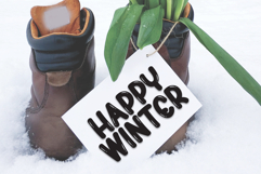 Fresh Grapes Product Image 5