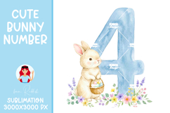 Easter Bunny Number 0-9 PNGs,Baby Shower Sublimation Design Product Image 6