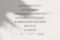 Crossroad - Long Slab Serif Product Image 5