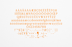 Retro Dream Elegant Vintage Serif Font Product Image 5