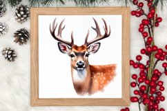 Watercolor Christmas Deer Sublimation Bundle, Christmas Deer Product Image 4