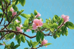 Pink Flowers Background PNG, Floral Background Designs Product Image 5