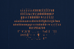 Inure Elegant Modern Serif Font Product Image 5