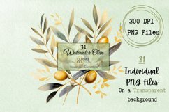 Watercolor Olive Clipart with Transparent Background Product Image 2