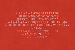 Esque Elegant Semi Serif Typeface Product Image 5