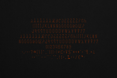 Italian Futuristic Elegant Serif Font Product Image 5