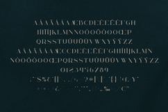Billionaire Club Luxury Editorial Serif Font Product Image 5