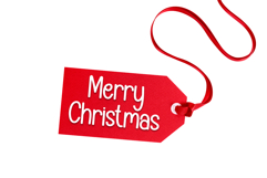 Beauty Santa Product Image 5