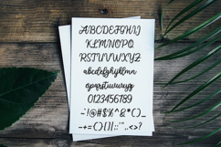 Rachidah Script Product Image 6