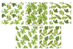 Watercolor Green Leaves Product Image 6