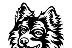 Pomeranian spitz/Dog Svg/Png/Jpg/Ai/Vector purebred breed Product Image 6