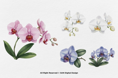15 Bundle Watercolor Orchids Flower Tropical Exotic Blossom Product Image 5