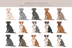 American Staghound dog Product Image 4