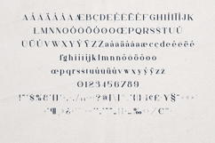 Papillon Serif Font Elegant Modern Editorial Product Image 5