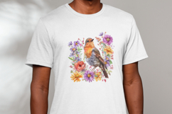 Christmas Robin Bird Clipart Bundle Product Image 5