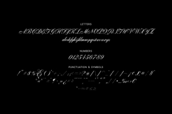 Armonia Aria Elegant Script Font Product Image 5