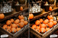 10 Crisp Leaves Mobile Lightroom Presets Product Image 5