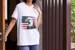 Retro 4th of July PNG Bundle Product Image 5