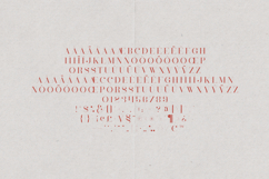 Cavet Elegant Serif Display Font Product Image 5