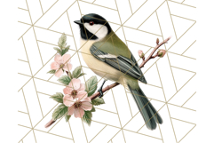 Vintage Song Bird Clipart PNG, Botanical Bird Art Clip Art Product Image 5