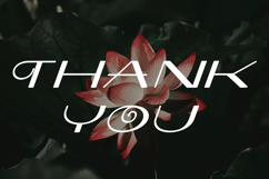 Transit Product Image 5