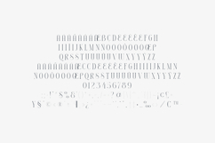 Thorntale Elegant Modern Serif Font Product Image 5