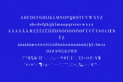 Kuoros Elegant Modern Serif Font Product Image 5