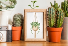 Watercolor Houseplants Clipart Product Image 3